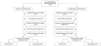 Fertility after expanded polytetrafluoroethylene use after endometrioma cystectomy: a pilot study